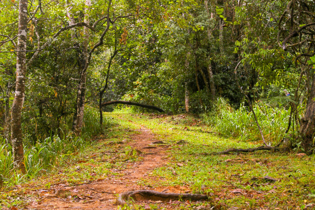 Nature's Trails