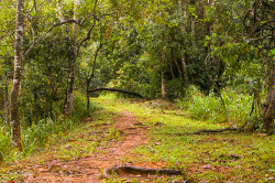 Nature's Trails