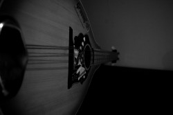 Visharada's Mandolin