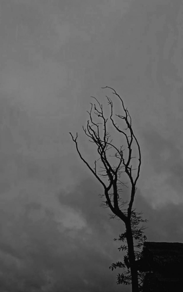 A person without loneliness