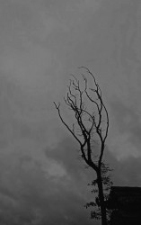 A person without loneliness