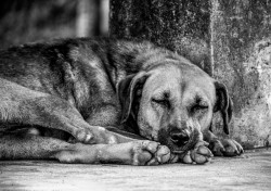 Deep sleep