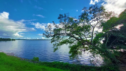 Color's Of Nature