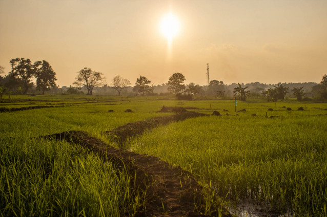 Path to sun