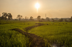 Path to sun