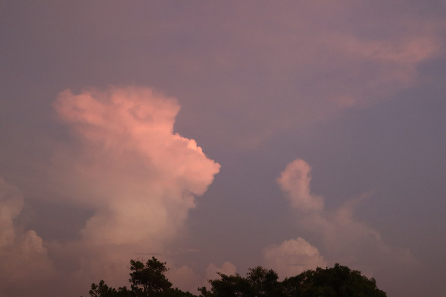 Lion King Sky