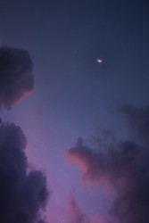ROSE SKY
