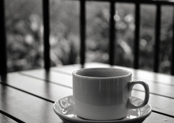 Mornings