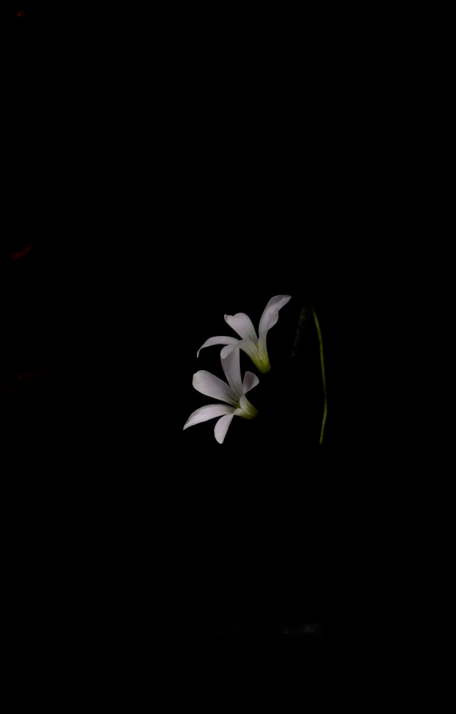 Through the darkness