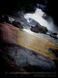 Environment