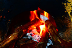 Fire wood in a fire