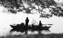 Livelihood