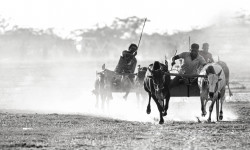 The Run