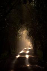 Path to.paradise