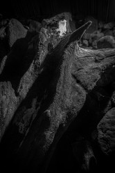 Stone Face