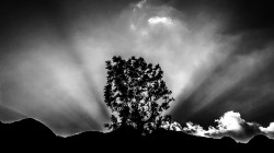 Sun rays