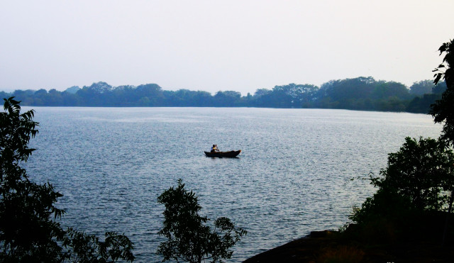 Rowling Alone