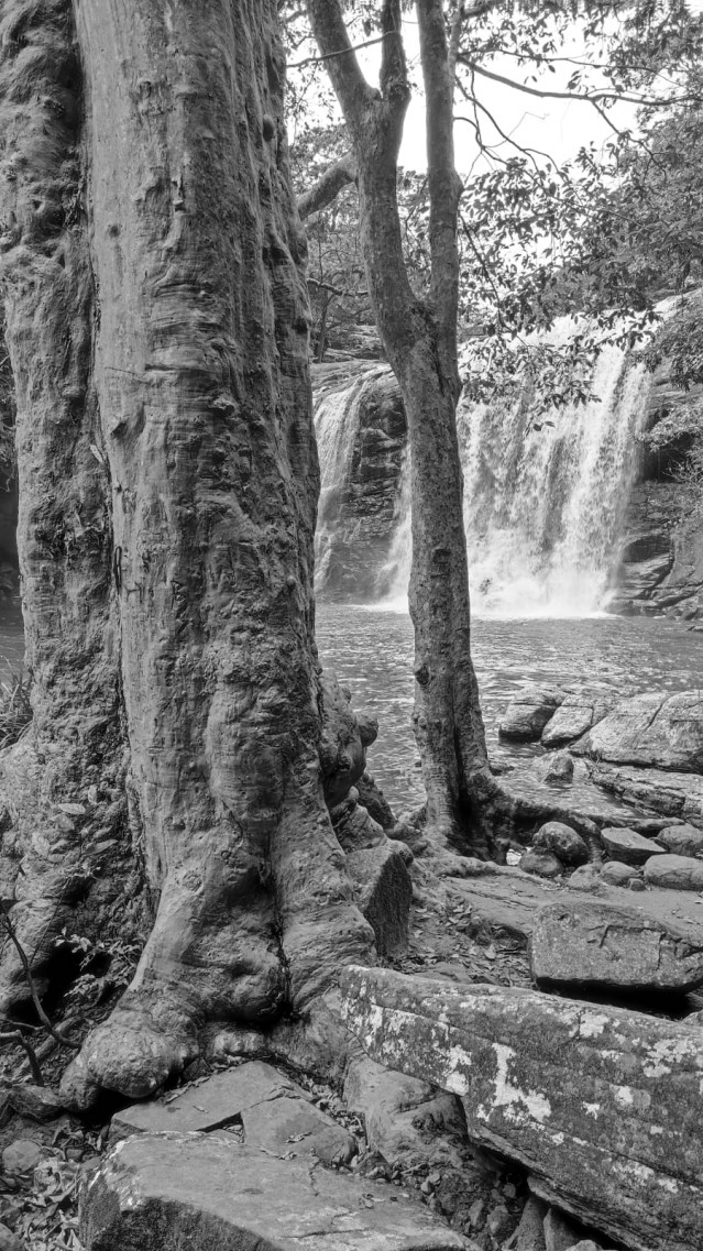 Waterfall