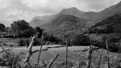 Field with mountain view