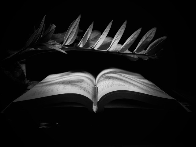 Book