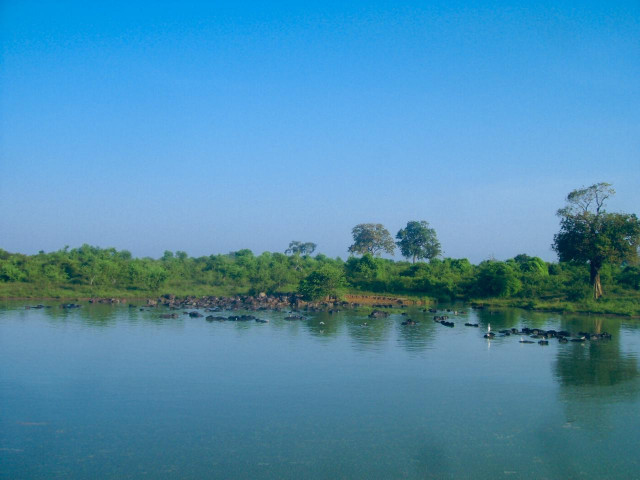 Lake
