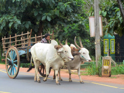 On The Way