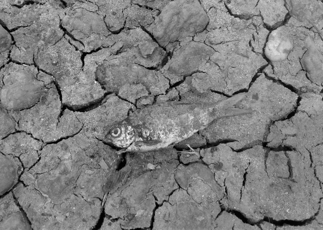 Dry Spell