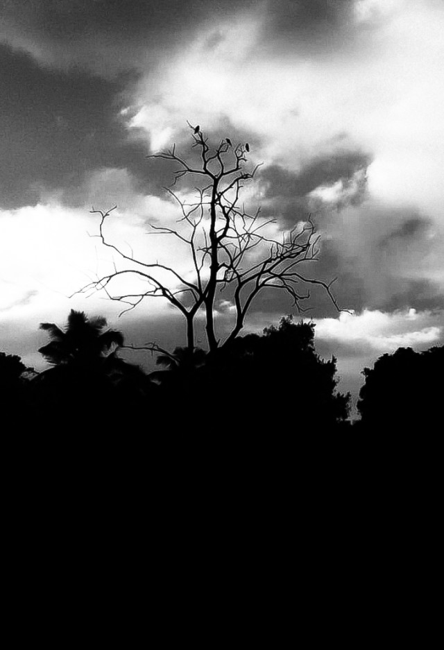 Spring is gone