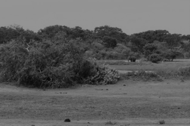 Isolation with braveness