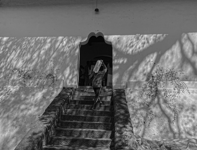 Shadows