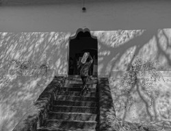 Shadows