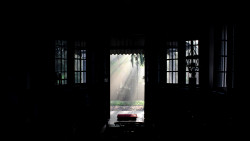 අදුරෙන් එලියට - Out of the Darkness