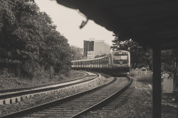 All aboard!
