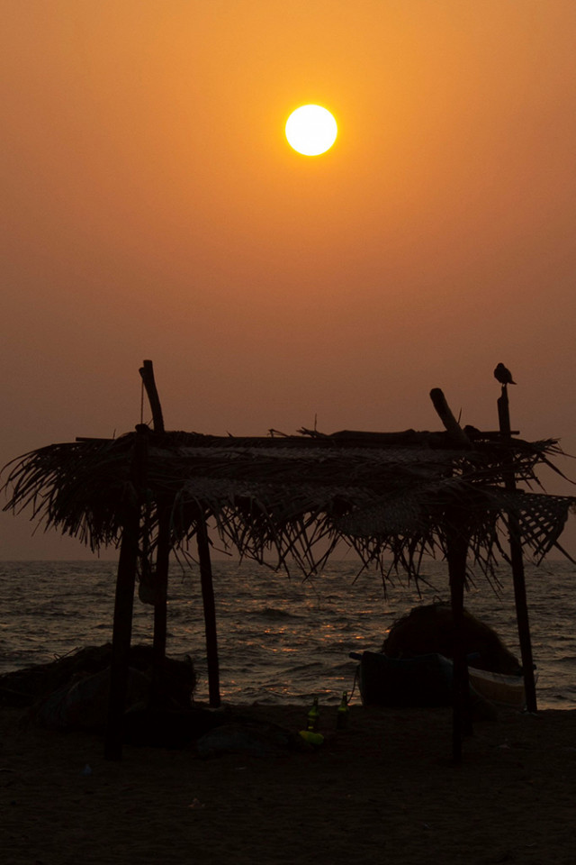 In to the sunset