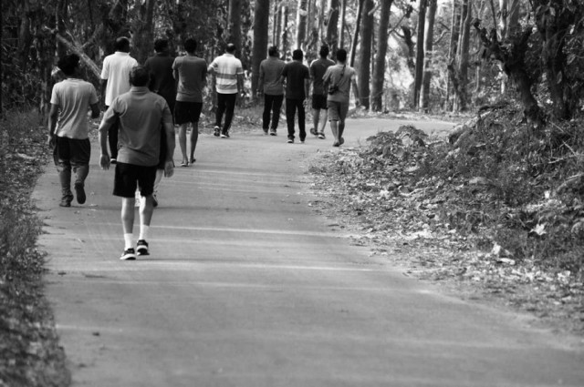 Long way left to travel in the midst of a vast jungle