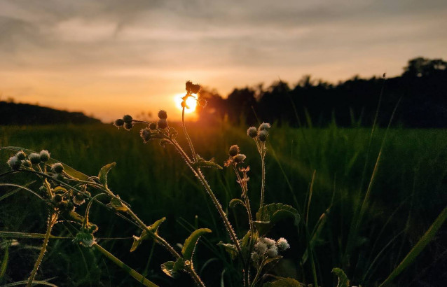 Sun Set