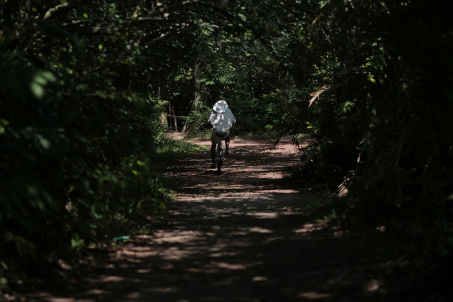 Alone Rider