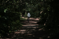 Alone Rider