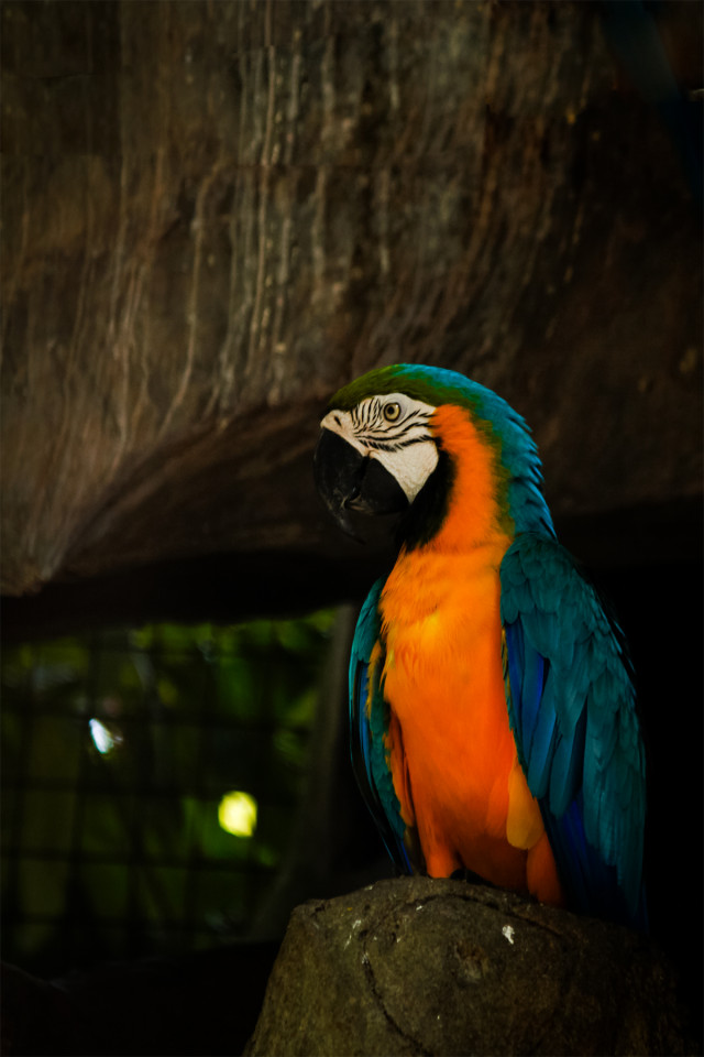 Looking forward for a colourful nature