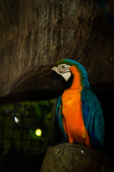 Looking forward for a colourful nature