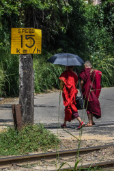 සසර සක්මන