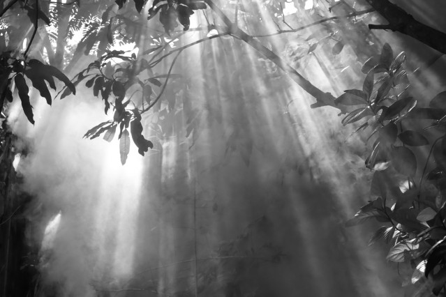Light Through Smoke