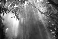 Light Through Smoke