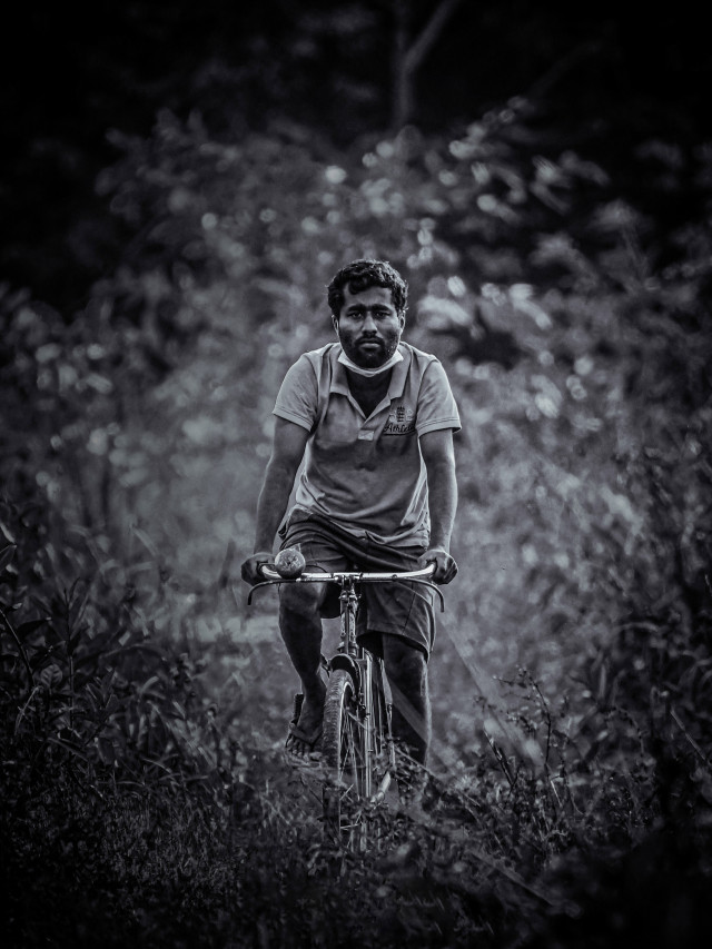 No Car No Petrol