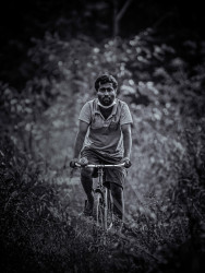 No Car No Petrol