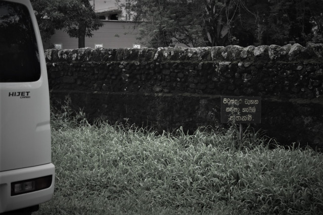 ඔබේ the Law