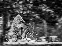 Panning Shot