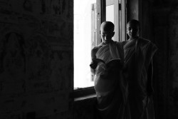 Untitled (5)