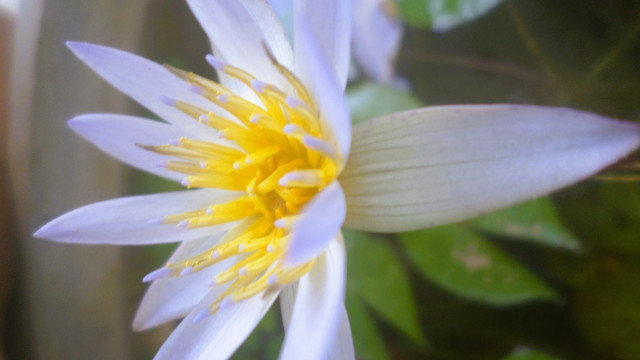 Beauty Everywhere