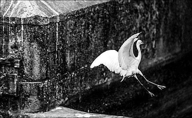 jump